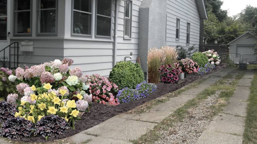 A frontyard designed with AR technology